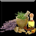Natural Homemade Herbal Deodorant Recipes